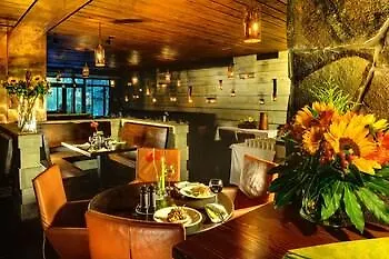 Tri Studnicky - Adult Friendly